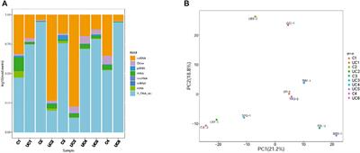 Exosomal miR-29b of Gut Origin in Patients With Ulcerative Colitis Suppresses Heart Brain-Derived Neurotrophic Factor